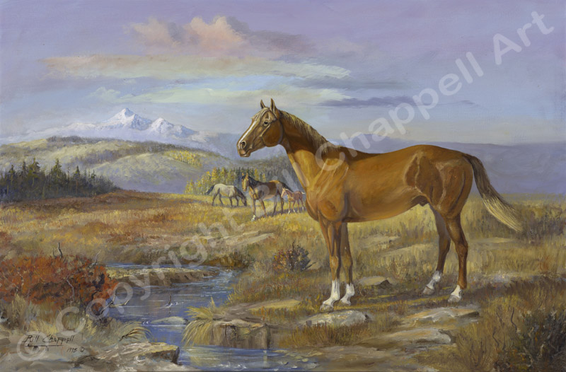 Quarter&nbsp;Horse&nbsp;(Giclee&nbsp;Print)