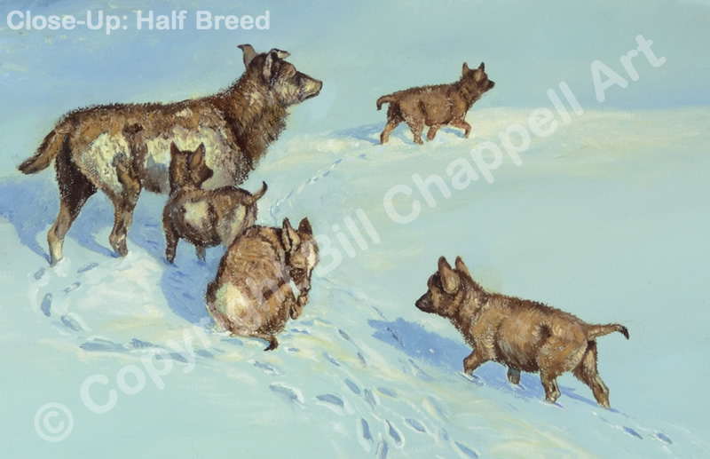 Call&nbsp;of&nbsp;the&nbsp;Wild&nbsp;(Gift&nbsp;Card)