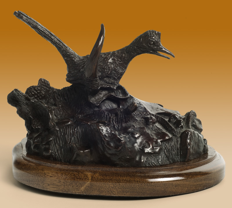 Southwest&nbsp;(Bronze)